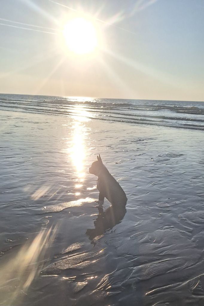 Du Castel Dark - Arissa à la plage