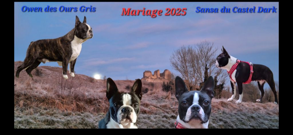 Mariage 2025 