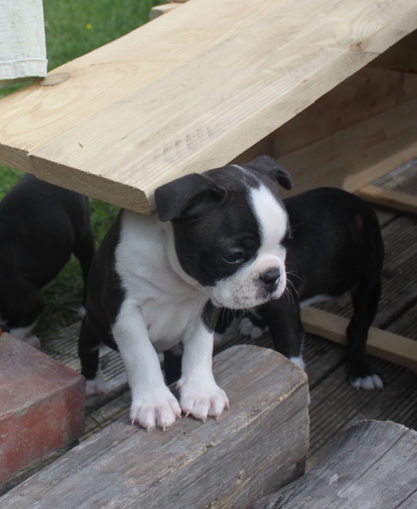 Nos premiers bébés